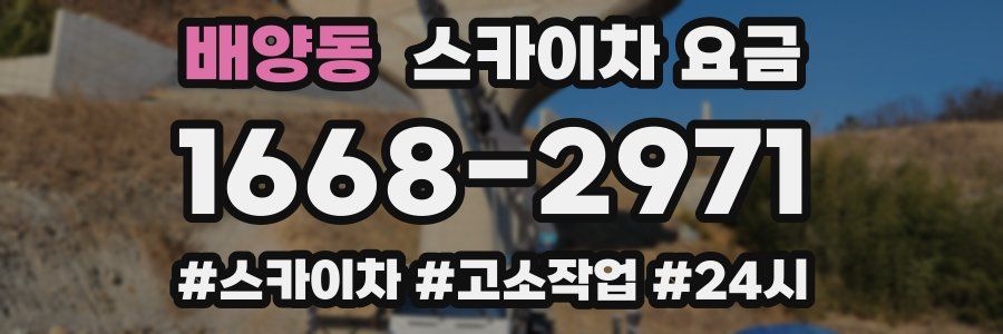 배양동 스카이차 요금