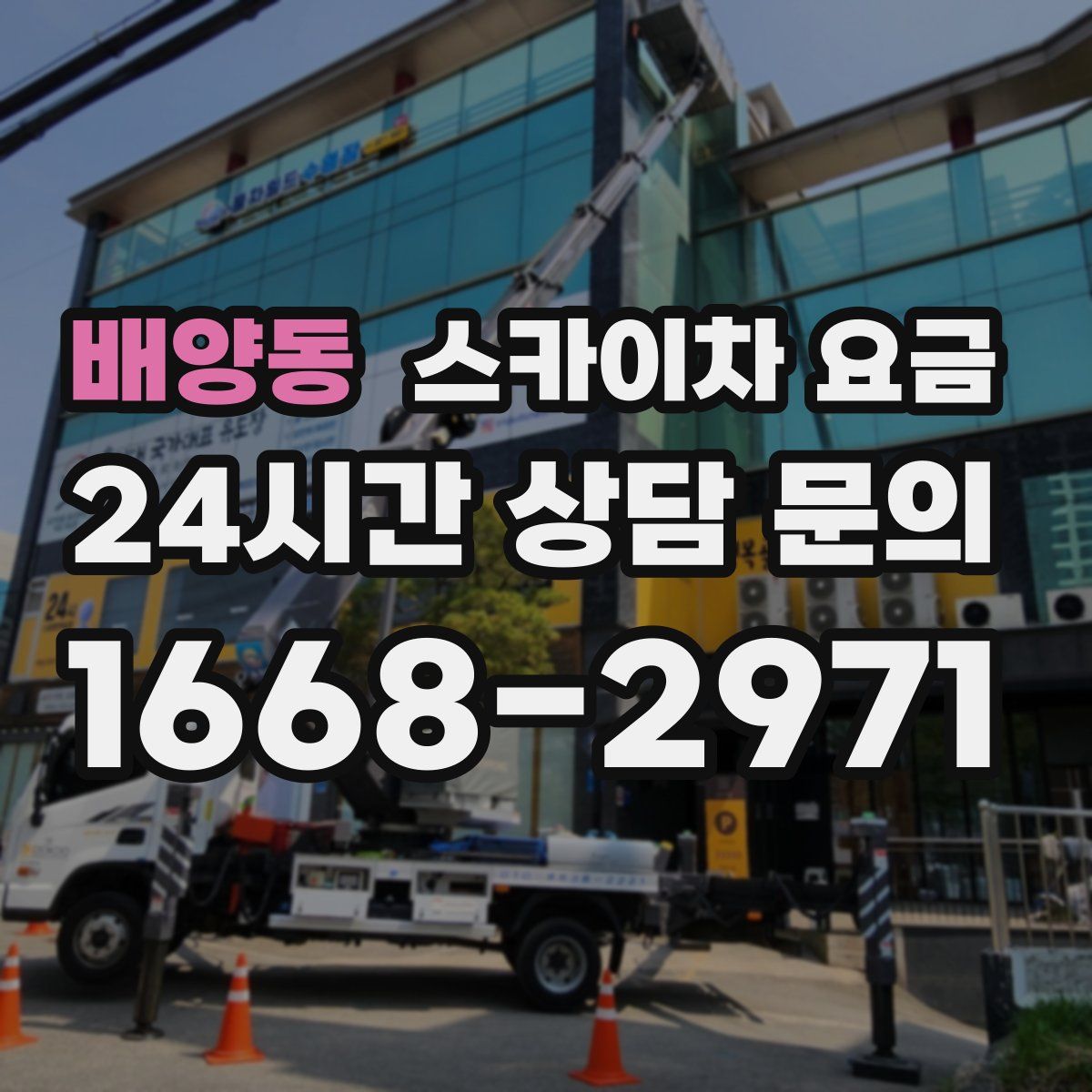 배양동 스카이차 요금