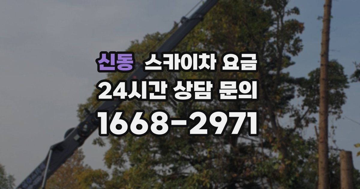 신동 스카이차 요금