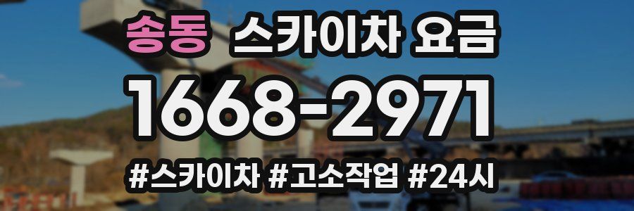 송동 스카이차 요금