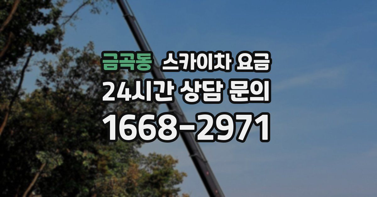 금곡동 스카이차 요금