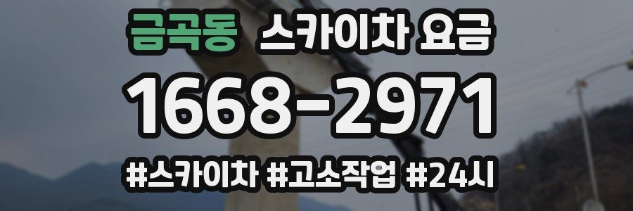 금곡동 스카이차 요금