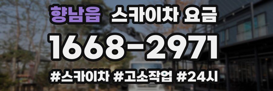 향남읍 스카이차 요금