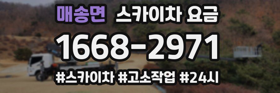 매송면 스카이차 요금