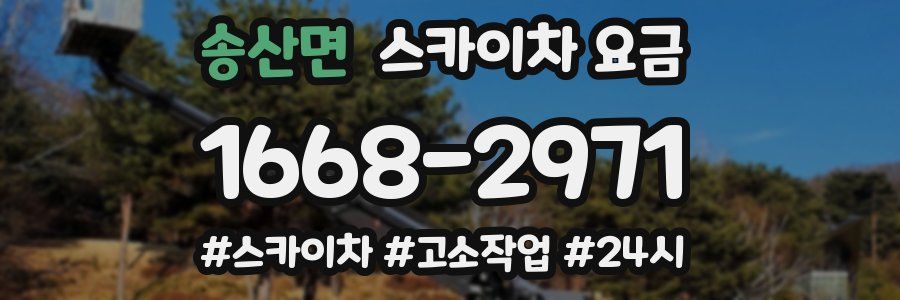 송산면 스카이차 요금