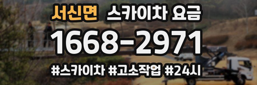 서신면 스카이차 요금