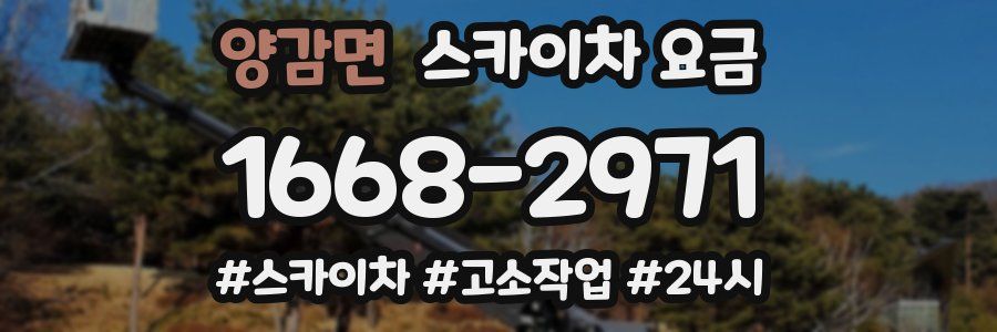 양감면 스카이차 요금