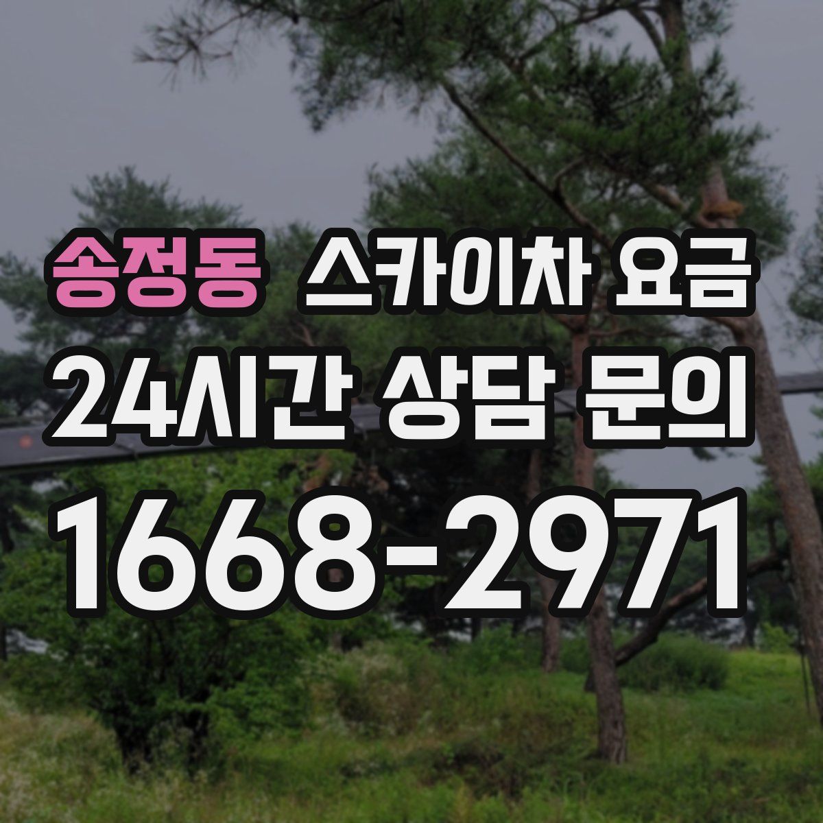 송정동 스카이차 요금