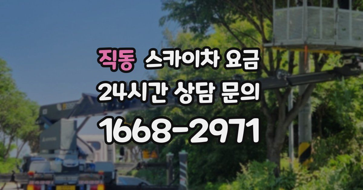 직동 스카이차 요금