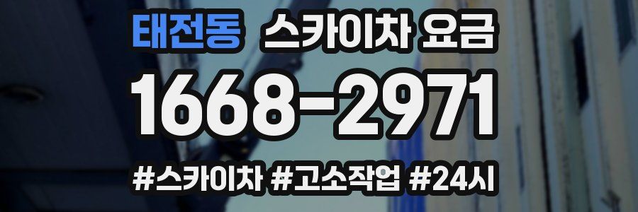 태전동 스카이차 요금