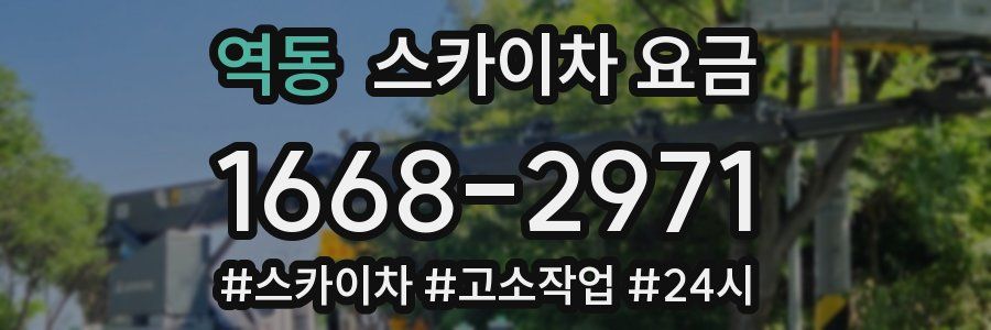 역동 스카이차 요금