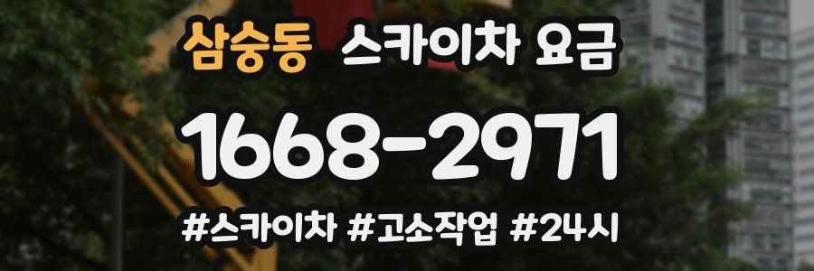 삼숭동 스카이차 요금