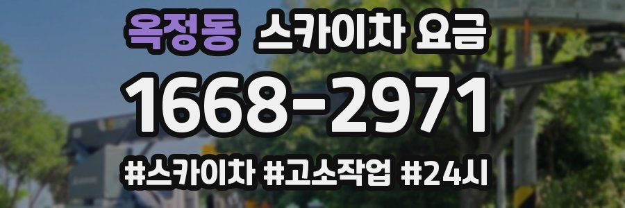 옥정동 스카이차 요금