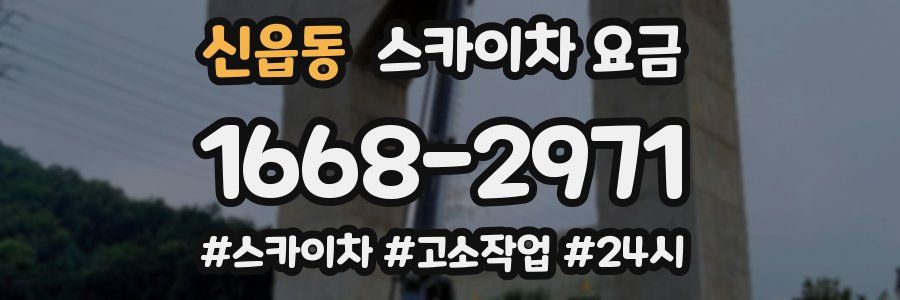 신읍동 스카이차 요금