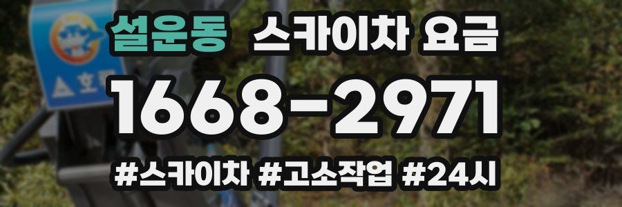 설운동 스카이차 요금