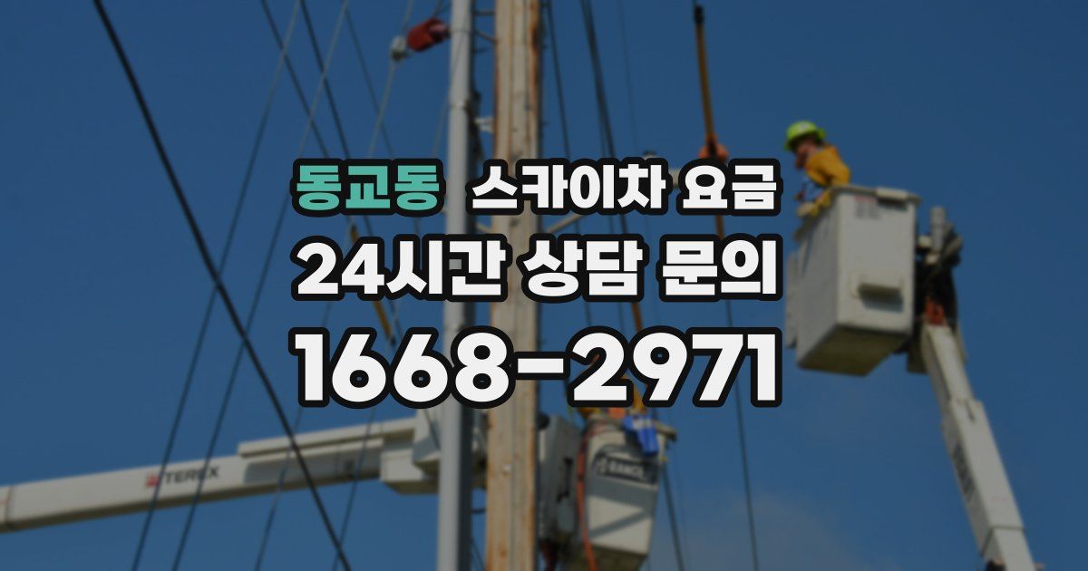 동교동 스카이차 요금
