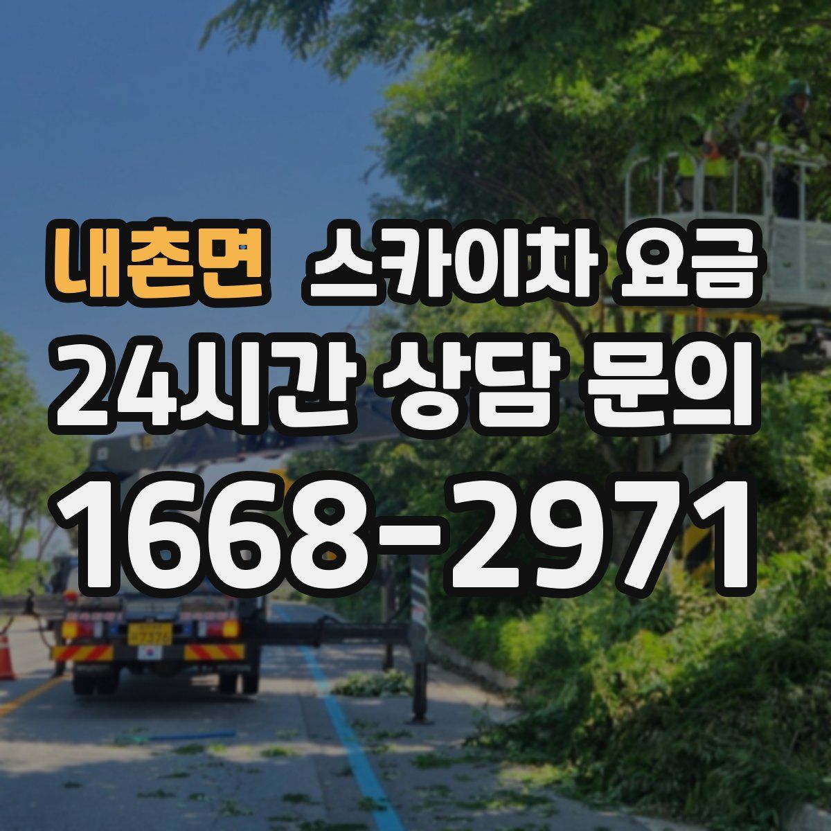 내촌면 스카이차 요금