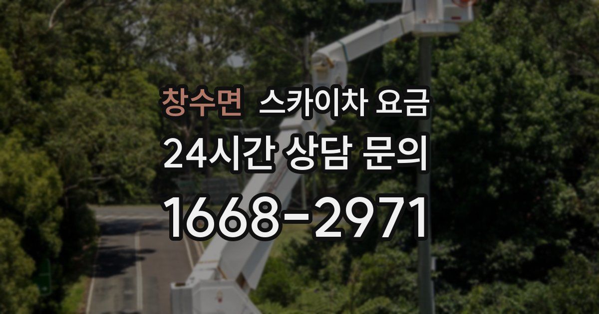 창수면 스카이차 요금