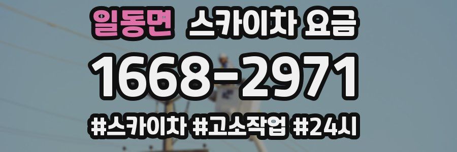 일동면 스카이차 요금
