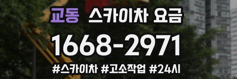 교동 스카이차 요금