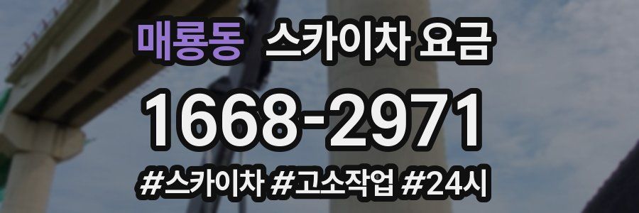 매룡동 스카이차 요금