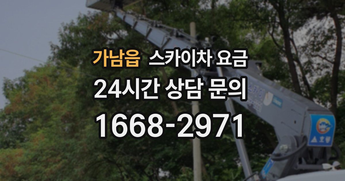 가남읍 스카이차 요금
