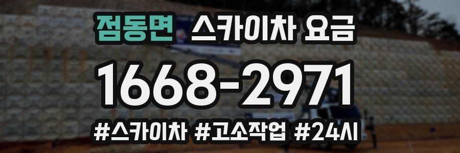 점동면 스카이차 요금