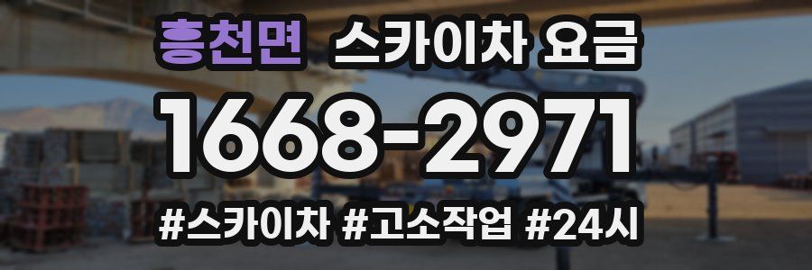 흥천면 스카이차 요금