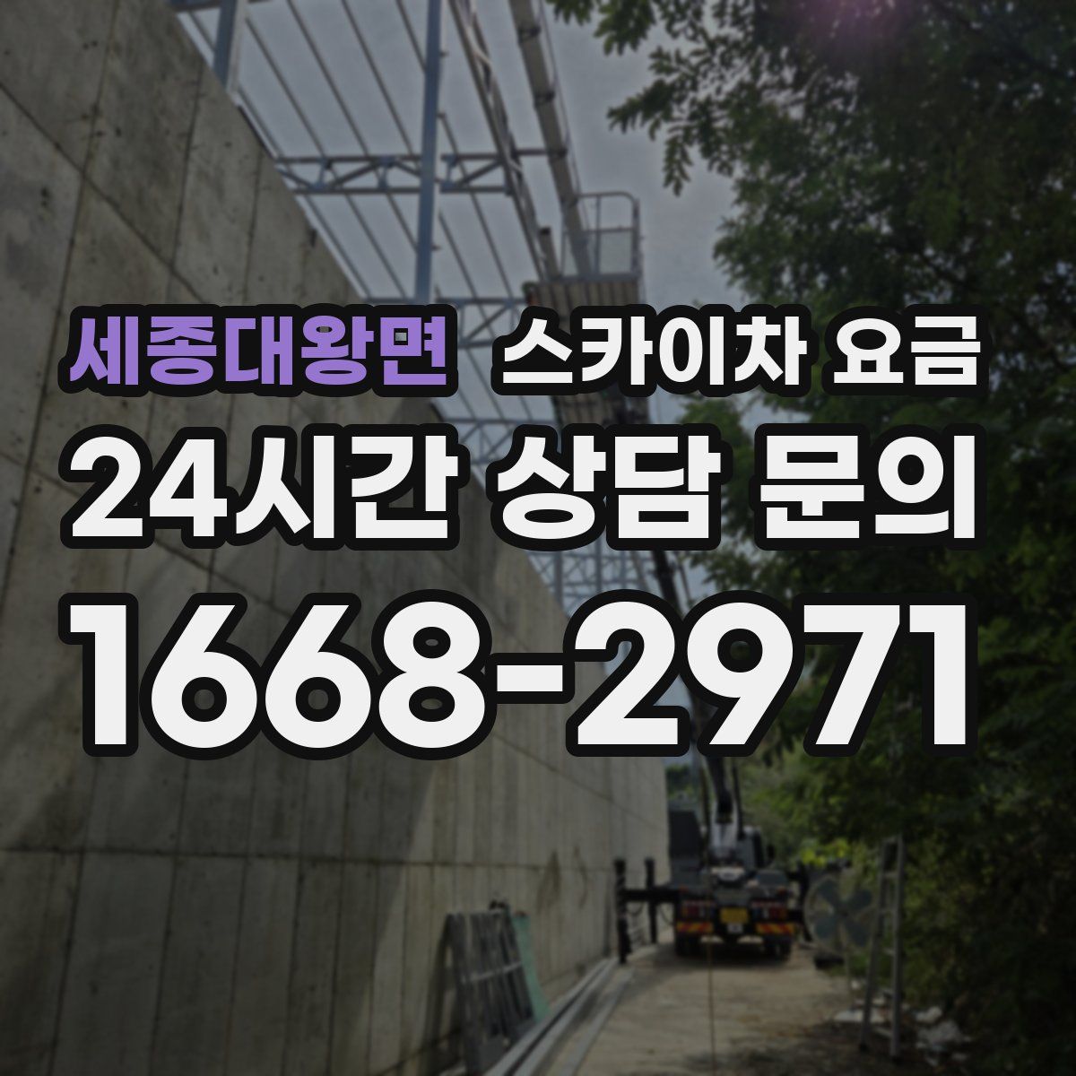 세종대왕면 스카이차 요금