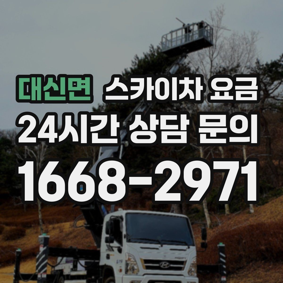 대신면 스카이차 요금 '포함'과 '별도' 항목을 구분하는 방법