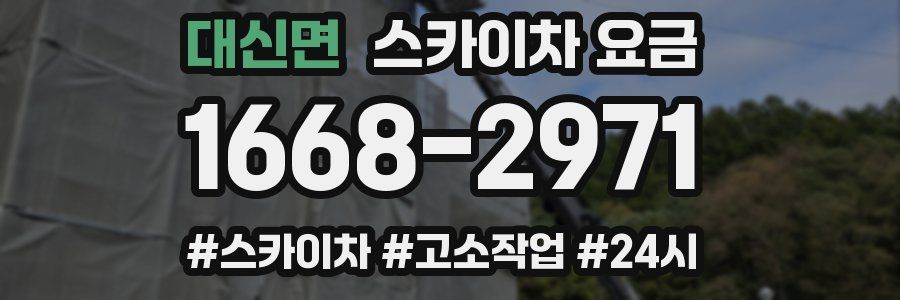 대신면 스카이차 요금