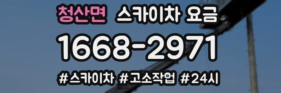 청산면 스카이차 요금
