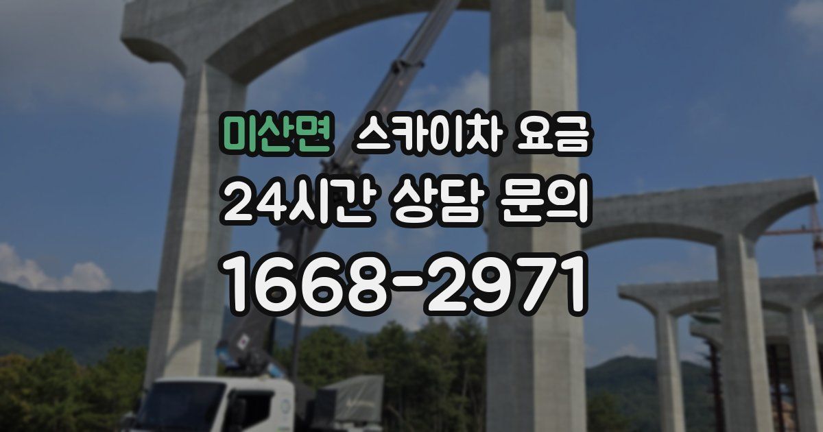 미산면 스카이차 요금