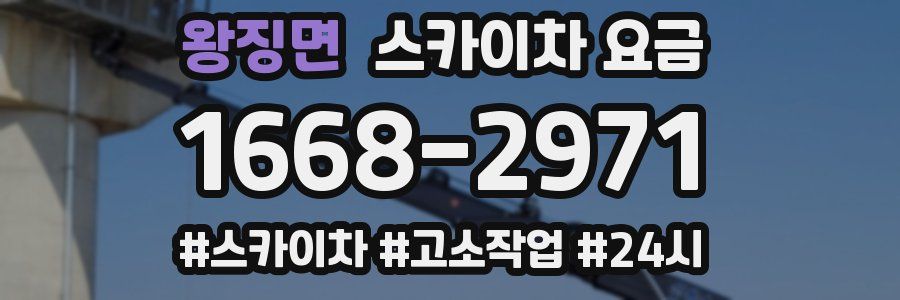 왕징면 스카이차 요금