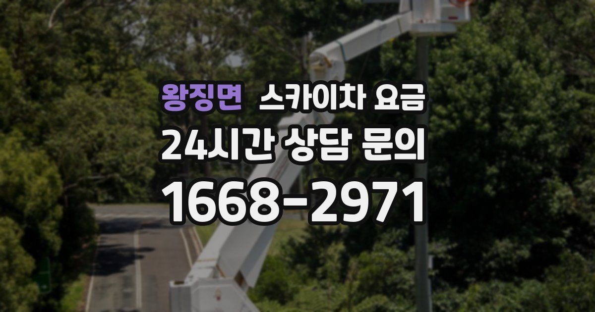 왕징면 스카이차 요금