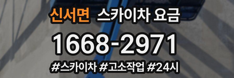 신서면 스카이차 요금