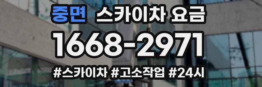 중면 스카이차 요금