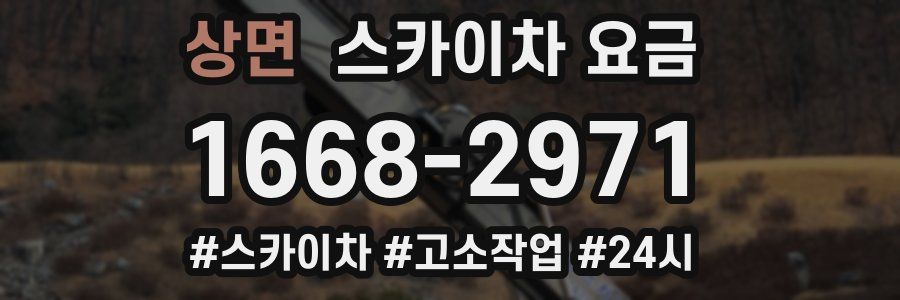 상면 스카이차 요금