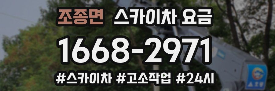 조종면 스카이차 요금
