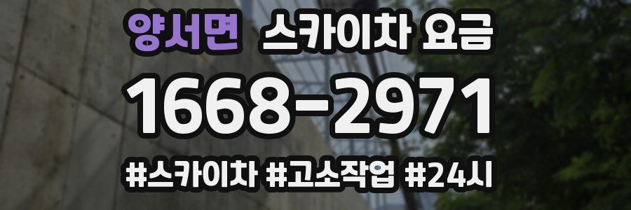양서면 스카이차 요금
