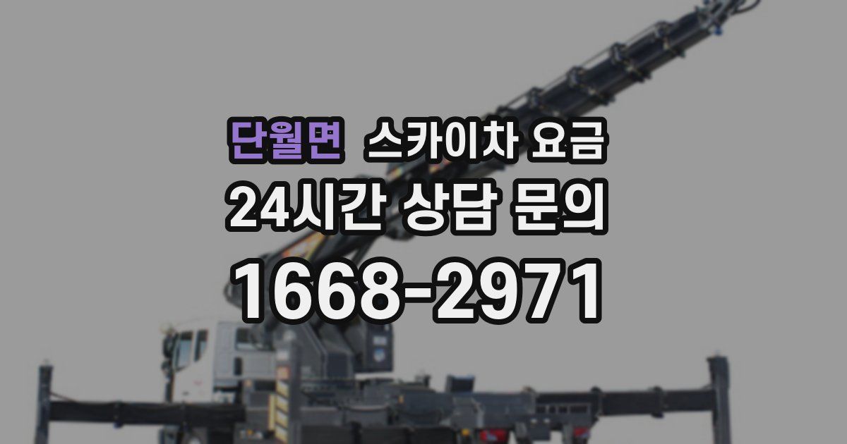 단월면 스카이차 요금