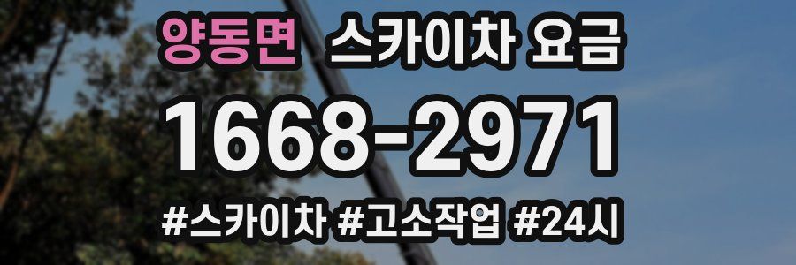 양동면 스카이차 요금