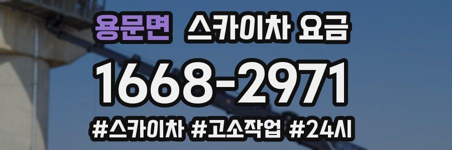 용문면 스카이차 요금