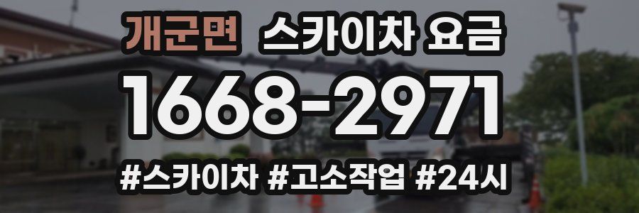 개군면 스카이차 요금