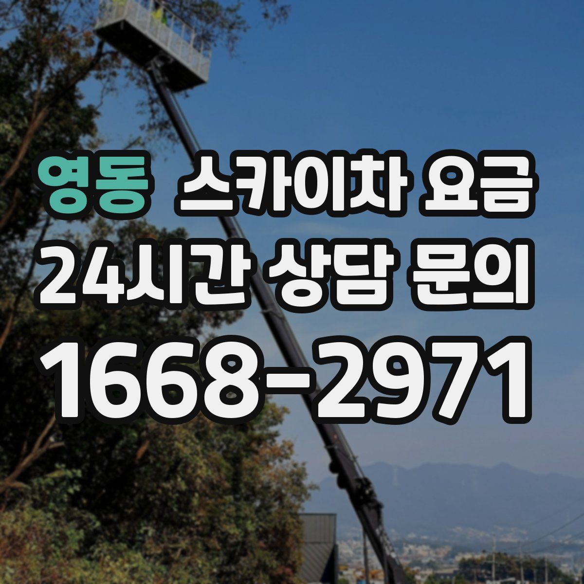 영동 스카이차 요금