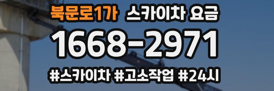 북문로1가 스카이차 요금