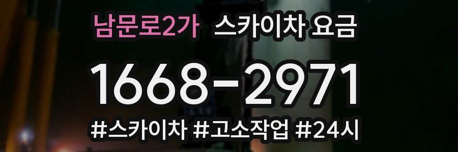 남문로2가 스카이차 요금