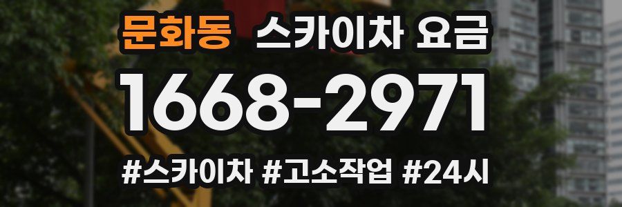 문화동 스카이차 요금