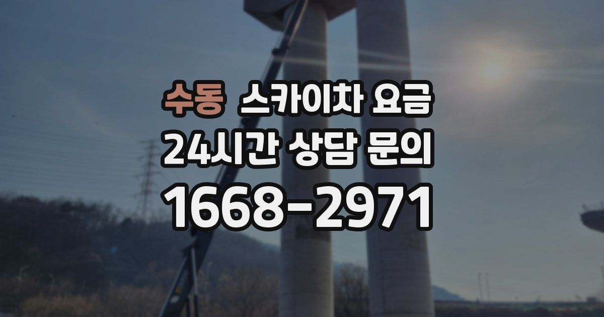 수동 스카이차 요금