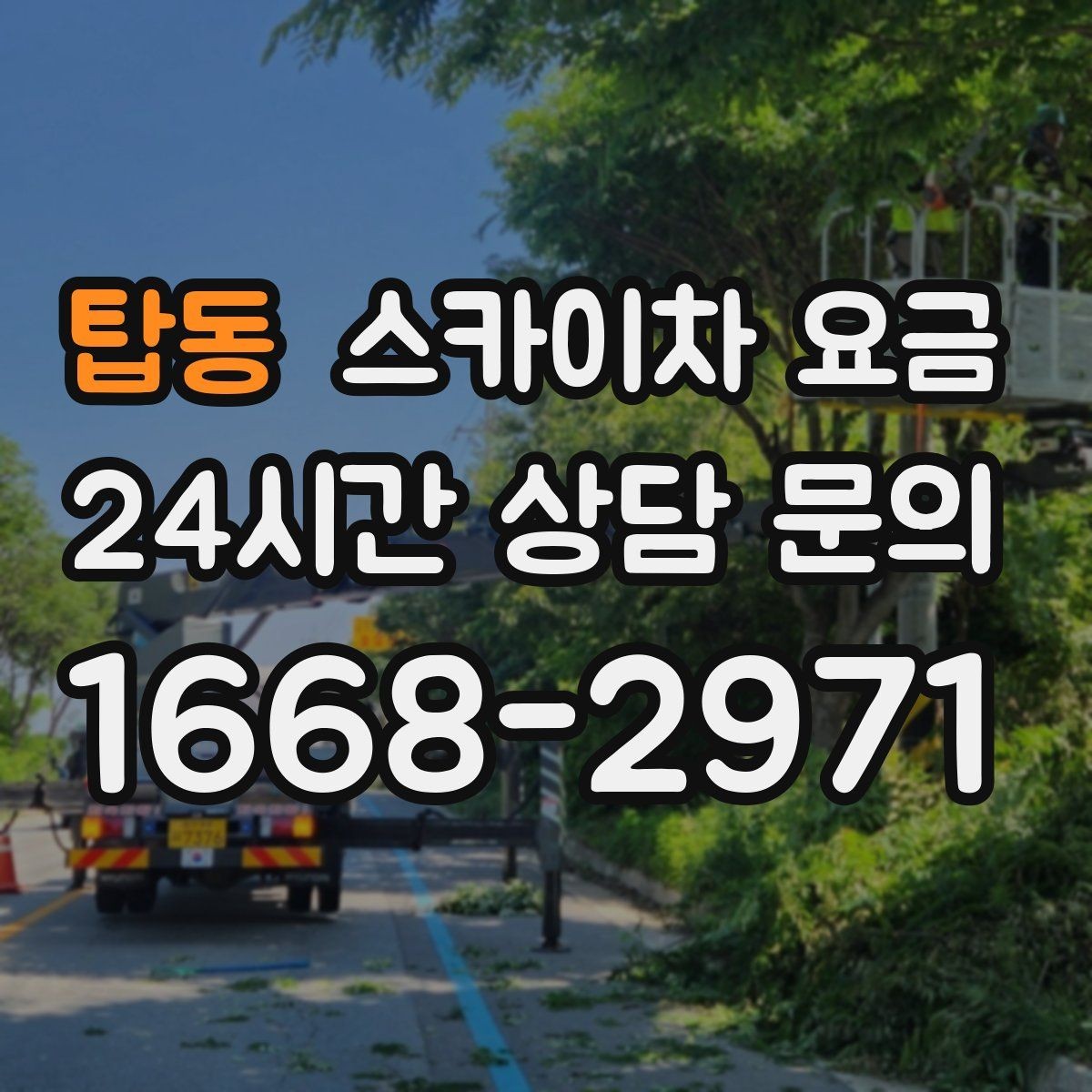 탑동 스카이차 요금 외벽 크랙 보수 포함 시 달라지는 점